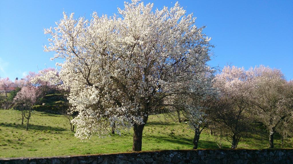 Flor Do Douro - Comercio E Hotelaria, Lda Miranda do Douro Extérieur photo